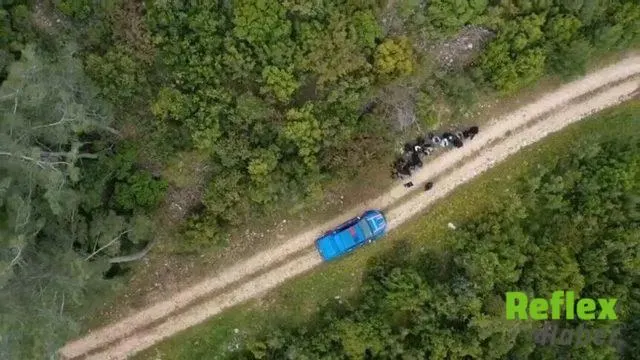 Kahramanmaraş’ın Da Yer Aldığı 33 İ̇lde Jandarmadan Göçmen Kaçakçılığı Operasyonu