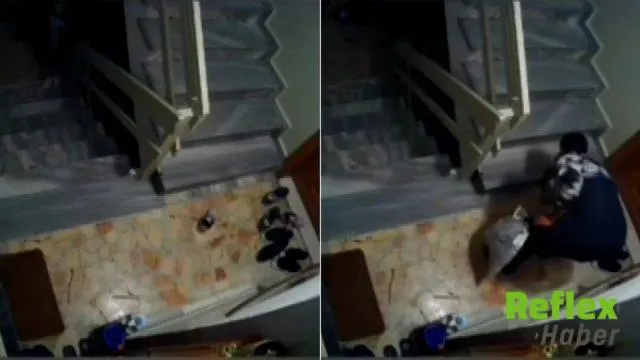 Apartmanlarda Ayakkabı Hırsızlığı: Şüpheliler Kamerada