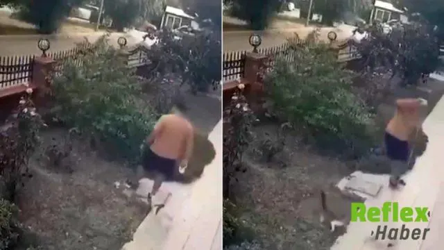 İzmir'de yavrularının yanındaki kediye tekme atan kişi yakalandı