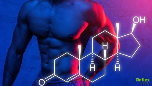 Erkeklerde Testosteron Düşüklüğünün Sebepleri Nelerdir