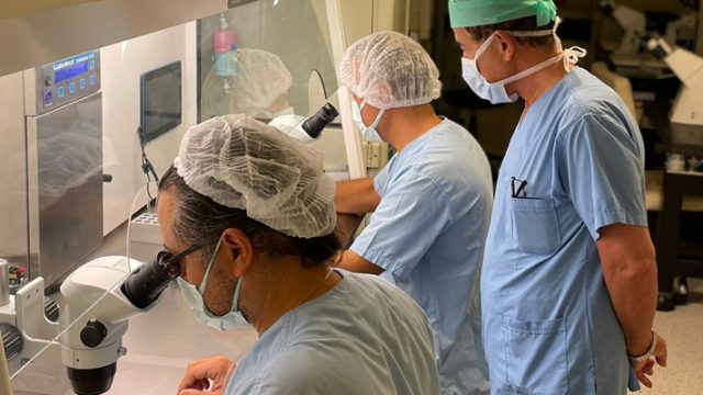 Erken menopozda doğurganlığı korumak mümkün