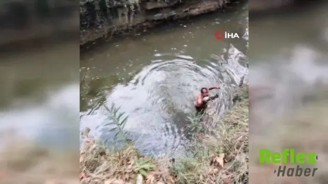 Antalya’da derede mahsur kalan kaplumbağayı yüzerek kurtardı