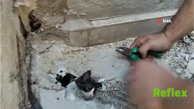 Antalya Manavgat'ta yağmur suyu giderine sıkışan yavru kedi kurtarıldı