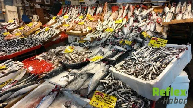 Kocaeli Tezgahlarında Balık Bereketi: Palamut 125 Lira