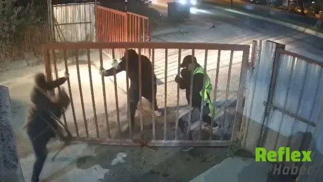 Bakırköy’deki Şantiye Hırsızlığına Üç İ̇lçede Operasyon