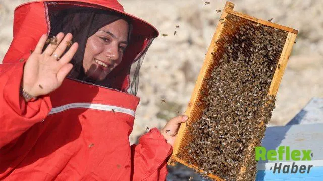 Üniversite Mezunu Latife Gül Kaplan Arıcılıkla Kendi Yolunu Çizdi