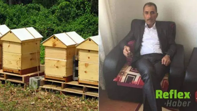 Çorum'da Arı Sokması Sonrası Hastaneye Kaldırılan Ünal Türk Hayatını Kaybetti