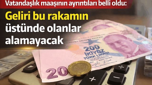Gelir Tamamlayıcı Aile Destek Programı İçin Gelir Şartı Netleşti: Başvurular e-Devlet Üzerinden