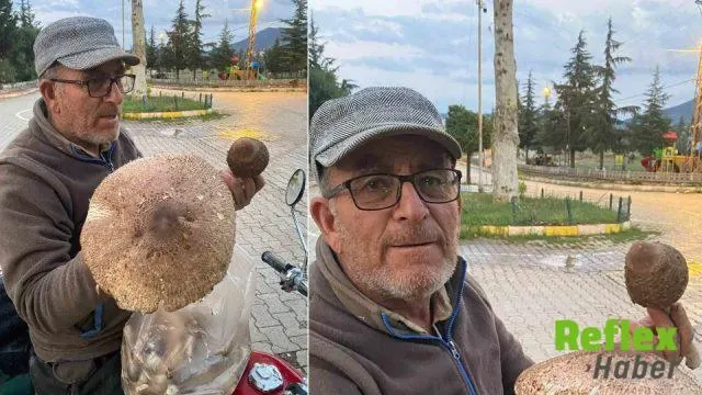 Konya’da Bulunan Dev Külah Mantarı Beyşehir’de İ̇lgi Odağı Oldu