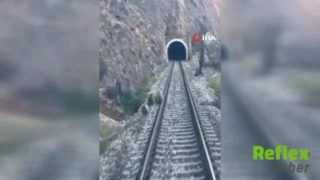 Divriği'de Ayı Ailesi Tren Yolunda Görüntülendi