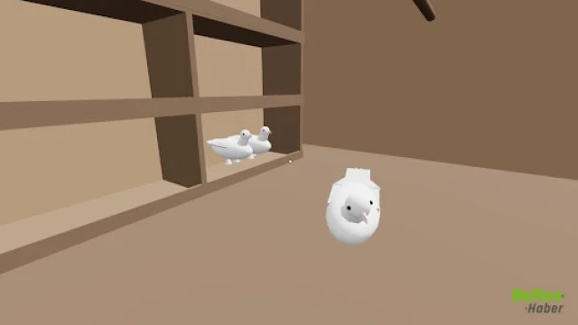 Güvercin Kümesi 3D APK İndir - 2026 Mayıs