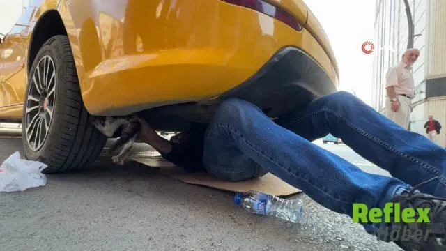Karabük'te Ticari Taksinin Altından Yavru Kedi Kurtarıldı