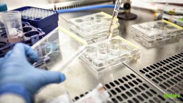 Hantavirüs Salgını Sonrası Aşı Çalışmalarında Yeni Gelişme