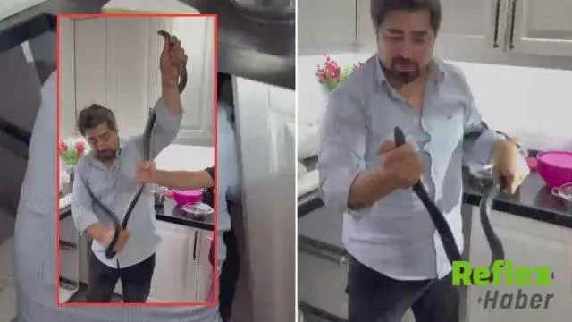 Payas’ta Mutfağa Giren İ̇ki Metrelik Karayılan Dört Saatte Yakalandı