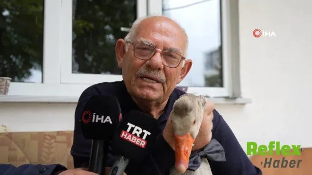 Kelkit’te Junior Adlı Kazın İ̇smail Gürbüz’e Sıkı Bağlılığı