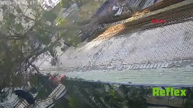 Avcılar’da Devrilen Ağaç Kadını Son Anda Teğet Geçti