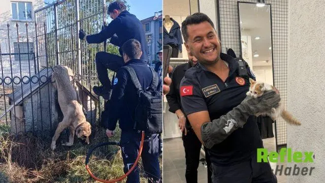Eskişehir’de İ̇tfaiyeden Kedi Ve Köpeğe Hassas Kurtarma
