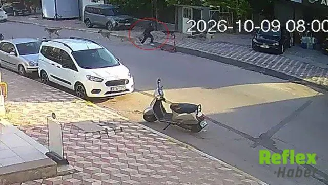 İ̇skenderun’da Okul Yolunda Köpek Saldırısı: Öğrenci Yaralandı