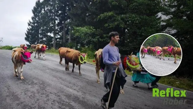 Şalpazarı’nda Yaylacılar Kışlık Yerleşimlerine Dönüyor