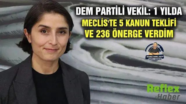 Ceylan Akça Cupolo, Bir Yıllık Meclis Çalışmalarını Açıkladı