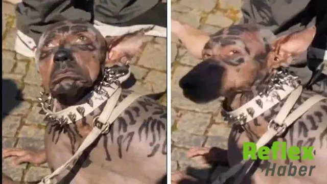 Köpek Olan Adam Videosu Gerçek Mi? Hangi Ülkede?