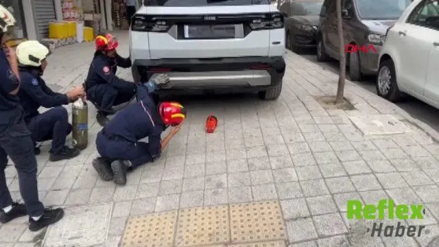 Avcılar’da cipin yedek lastik bölümüne sıkışan kediyi itfaiye kurtardı
