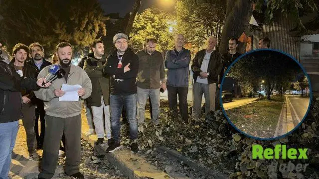 Eyüpsultan’da Kesilen Ağaçlar İ̇çin Vatandaşlardan İ̇bb’ye Tepki