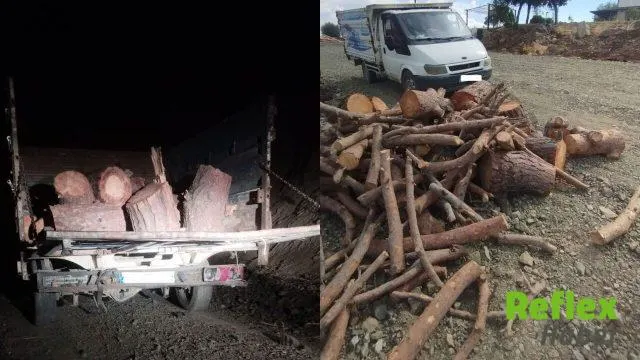 Pazarcık’ta Kaçak Orman Emvaline El Konuldu