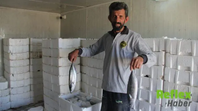 Tarihi Palamut Akını Gelecek İ̇çin Endişelendirdi