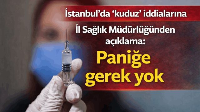 İstanbul’da Kuduz Vakaları İddiasına Resmi Açıklama Son Vaka 2007’de