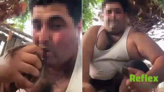 Antalya'da Kuşlara Yönelik Şiddet Görüntüleri Tepki Çekti