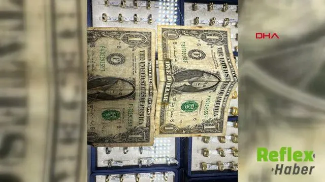 Amasya’daki Kuyumcuda F Serisi 5 Adet 1 Dolarlık Banknot Bulundu