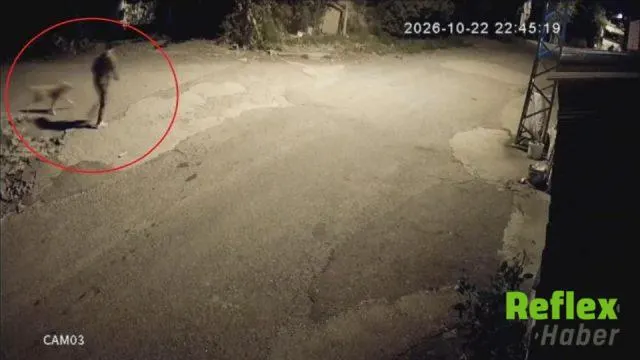 Hatay'da Tomi'nin Çalınış Anı Kamerada: Aileden Yardım Çağrısı