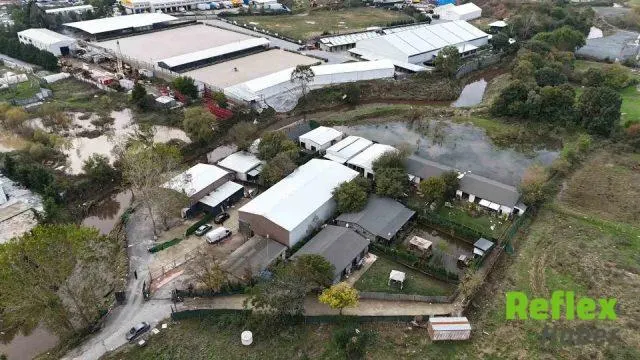 Kemerburgaz’da Taşan Dere Evleri Ve Hayvanları Vurdu