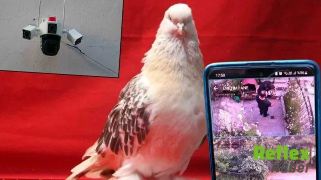 Erzurum’da Şebap Güvercinler İ̇çin Çelik Kapılı Koruma