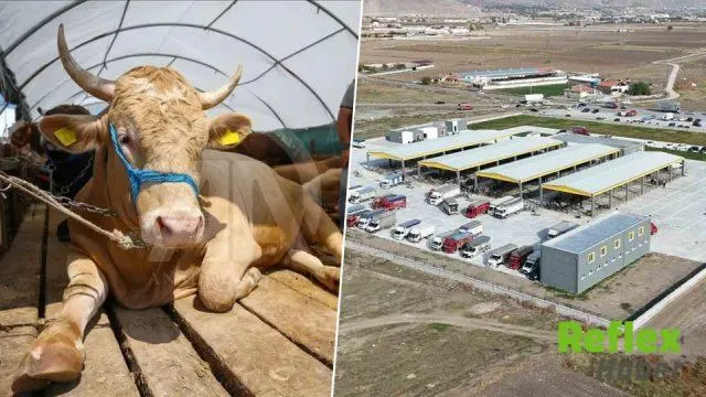 Kayseri’de şap tedbiri: Canlı Hayvan Pazarı geçici olarak kapatıldı