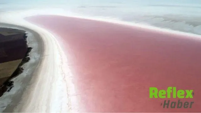 Tuz Gölü Neden Pembe Oldu?