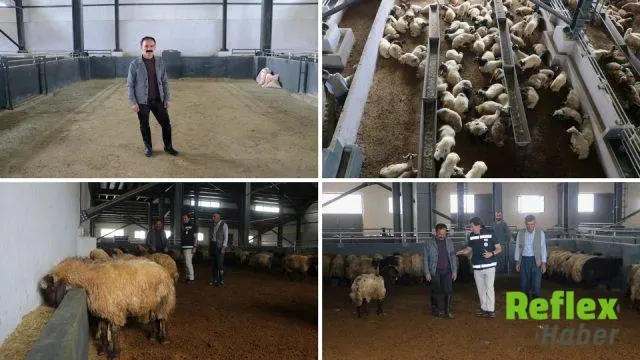 Van’da Bulaşıkçılıktan Modern Besicilik Tesisine Uzanan Başarı