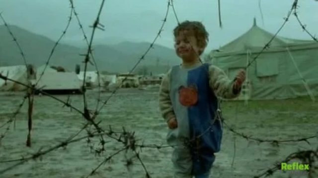 Kaplumbağalar Da Uçar Türkçe Dublaj İzle - Nereden İzlenir?