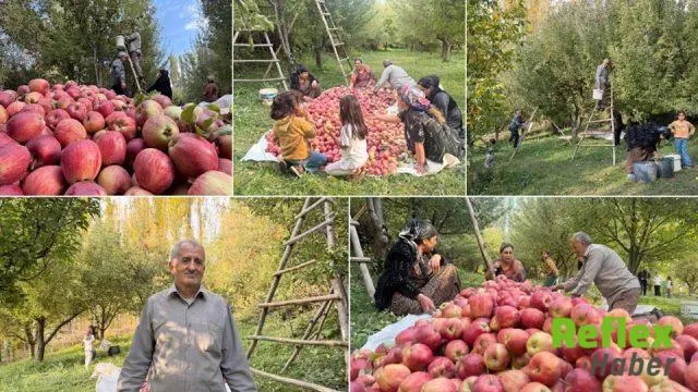 Şemdinli’de 300 Fidanla Başlayan Elma Üretimi 15 Yılda Büyüdü