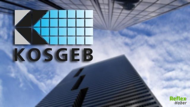 KOSGEB Hata Veriyor Sebepleri ve Çözümleri 2026 Mart