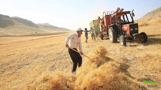 Köylüleri Neden Öldürmeliyiz Şükrü Erbaş Nedir?