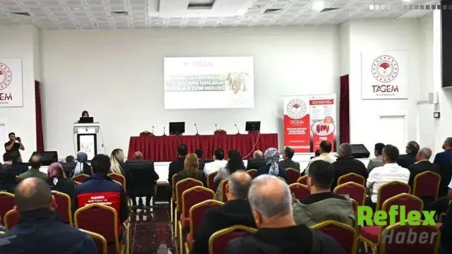 Kahramanmaraş’ta Kırmızı Biber Üretimi İ̇çin Çözüm Arayışı