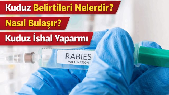 Kuduz Belirtileri Nelerdir? Nasıl Bulaşır? Kuduz İshal Yaparmı