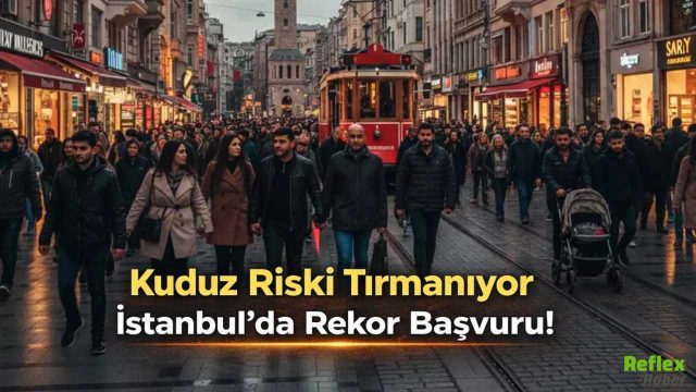 Kuduz Riski Tırmanıyor İstanbul’da Rekor Başvuru