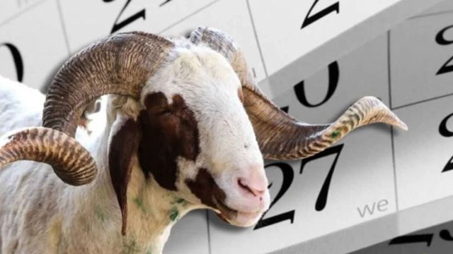 Afrika Kurbanlık Bağış 2026 Fiyatları Kaç TL? Nasıl Yapılır?