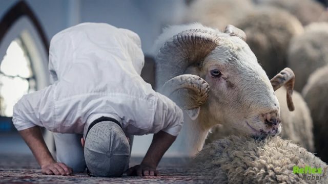 Kurban Kesildikten Sonra Kılınan Namaz Nasıl Kılınır?