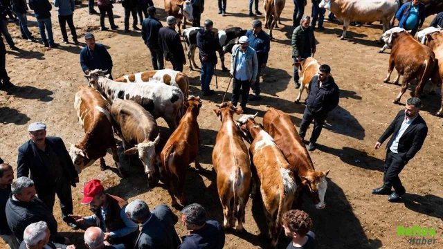 Kurban Pazarında Silahlar Konuştu: 3 Kişi Yaralandı