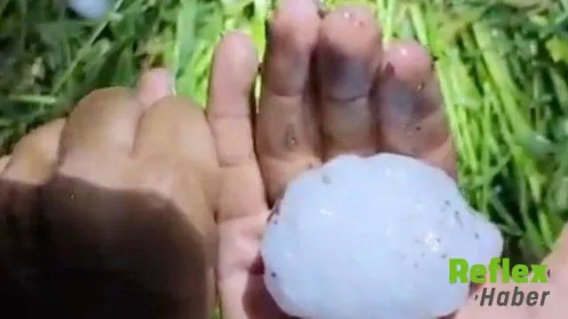 Yüreğir’de yumruk büyüklüğündeki dolu tarım arazilerine zarar verdi