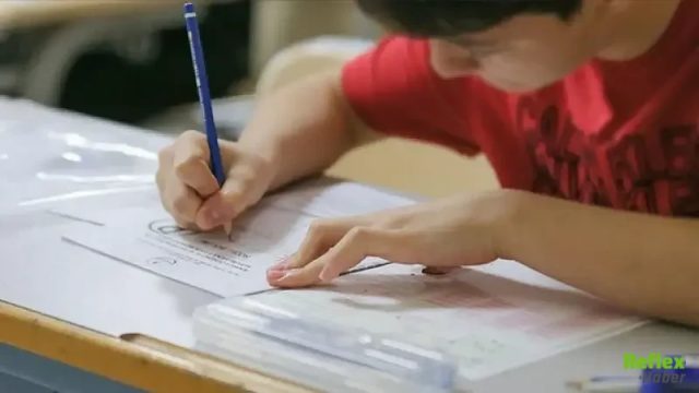 LGS Yerleştirme Sonuçları 2026